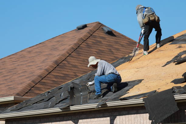 Best Asphalt Shingle Roofing  in Plantsville, CT